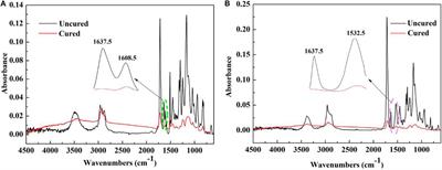 Preparation and Characterization of Sodium Aluminum Silicate-Polymer Composites and Effects of Surface Roughness and Scratch Directions on Their Flexural Strengths